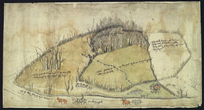 View of fields in Newnham, Hampshire, Mid-sixteenth century.  Winchester College Muniments, no. 3233