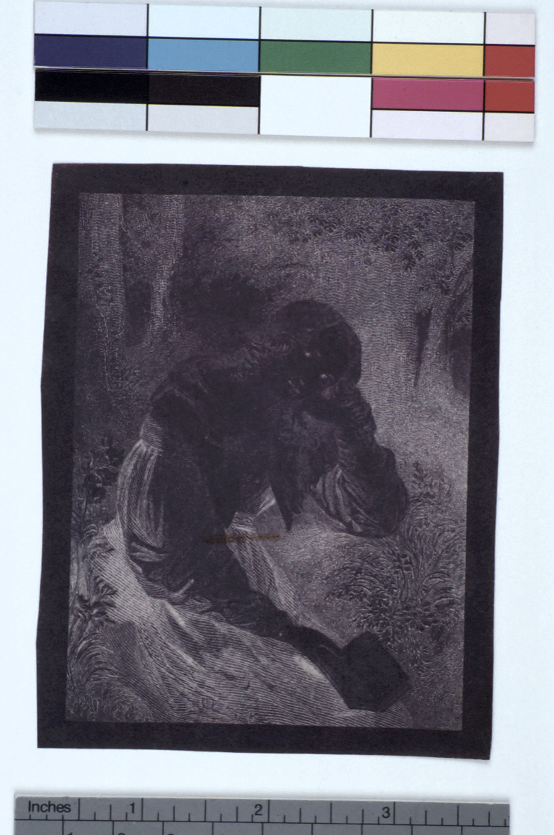 preview image for Photograph (Experimental Photogenic Drawing, Chrysotype), by Sir John Herschel, c.1842