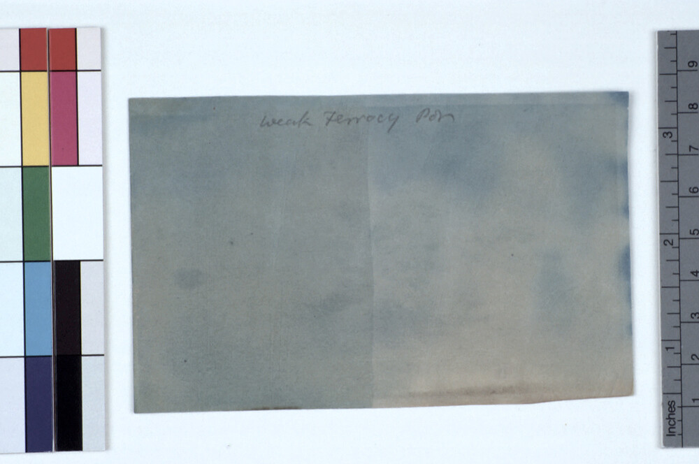 preview image for Photograph (Experimental Photogenic Drawing), by Sir John Herschel, 1839
