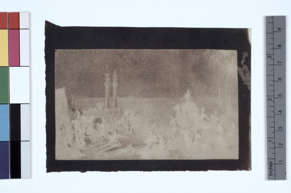 preview image for Photograph (Experimental Photogenic Drawing), by Sir John Herschel, June 21, 1839