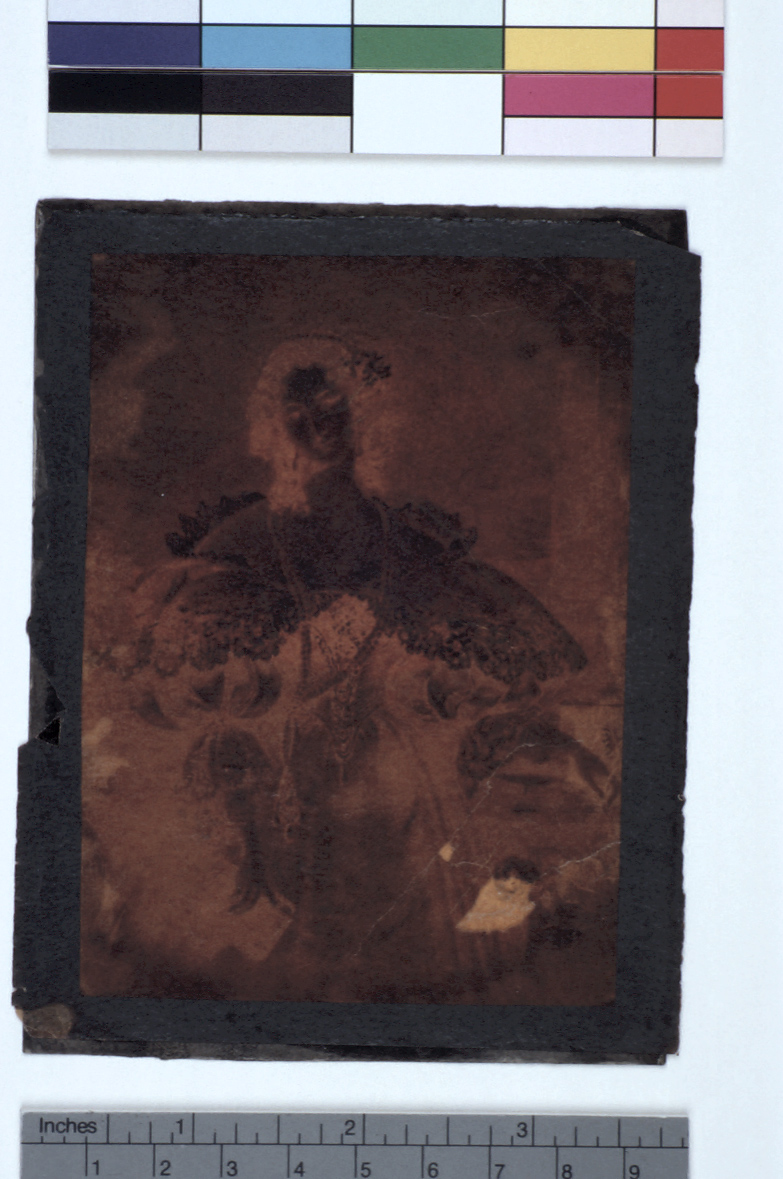 preview image for Photograph (Experimental Photogenic Drawing, Varnished Double Negative), by Sir John Herschel, 1839