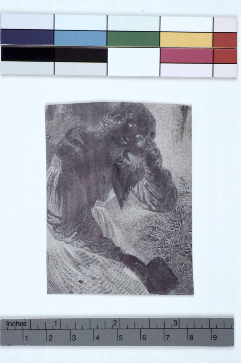preview image for Photograph (Experimental Photogenic Drawing, Chrysotype), by Sir John Herschel, c.1842