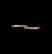 astrolabe part (photo)