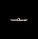 astrolabe part (photo)