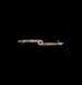 astrolabe part (photo)