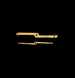 astrolabe part (photo)