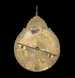 thumbnail for astrolabe (back), inventory number 50143 from Persia, ca. 1650