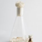 Original Penicillin Culture and Penicillin Specimen (Recovered)