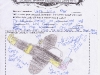 Wacky Wing Flyer by Max Gatehouse