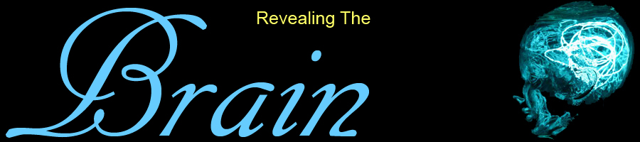 Revealing the Brain