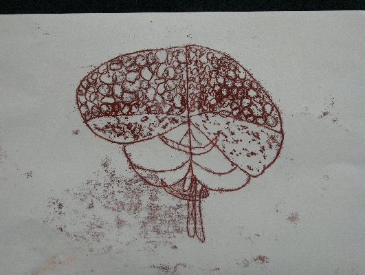 Eye of a fly (after Robert Hooke)