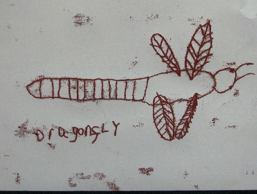 Dragonfly