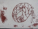 Seed