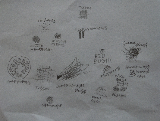 Multiple tiny things