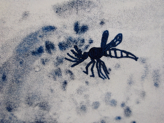 Mosquito