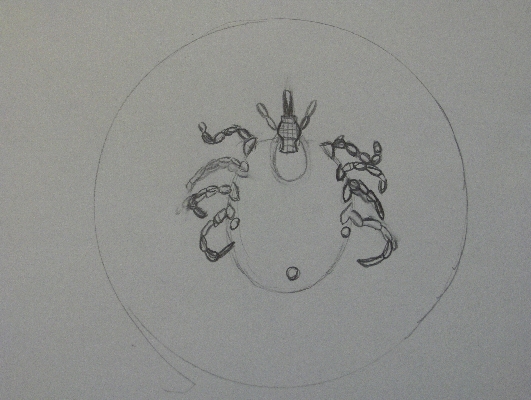 A small insect