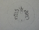 A small insect
