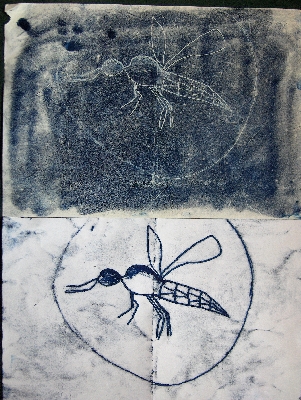 Mosquito