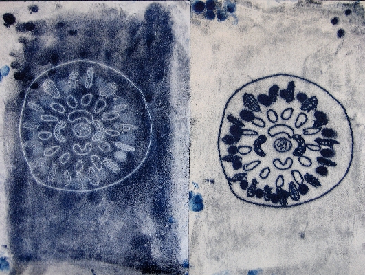 Flower seeds