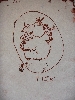 Tick
