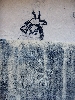 Mosquito