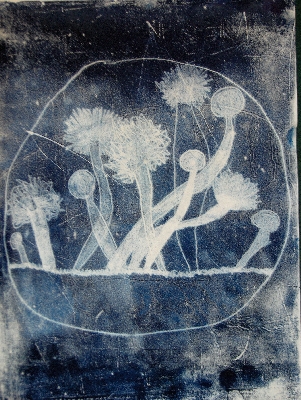 Mould (negative)