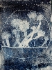 Mould (negative)