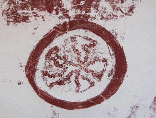 Plant cross-section
