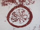 Plant cross-section