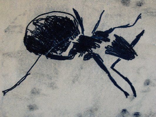 An ant