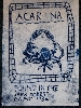 Acarina