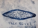 Liverfluke