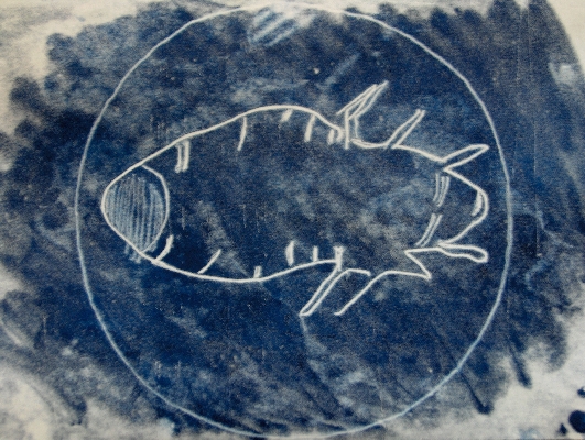 Head louse (negative)