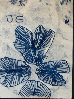 Winged seeds