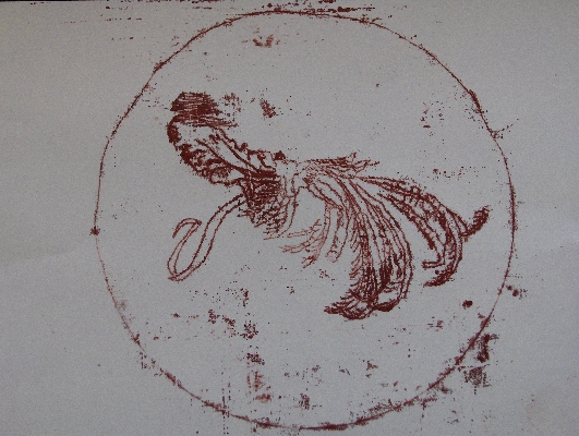 Botanic specimen