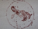 Botanic specimen