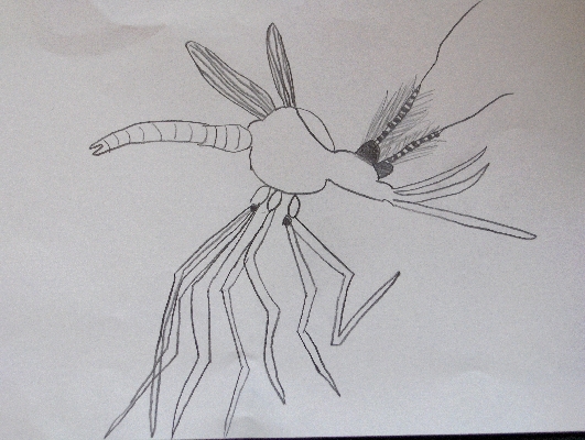 Mosquito