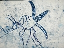 Mosquito