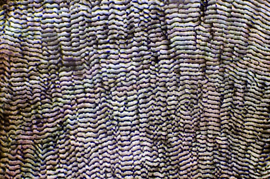 62954_2153-C