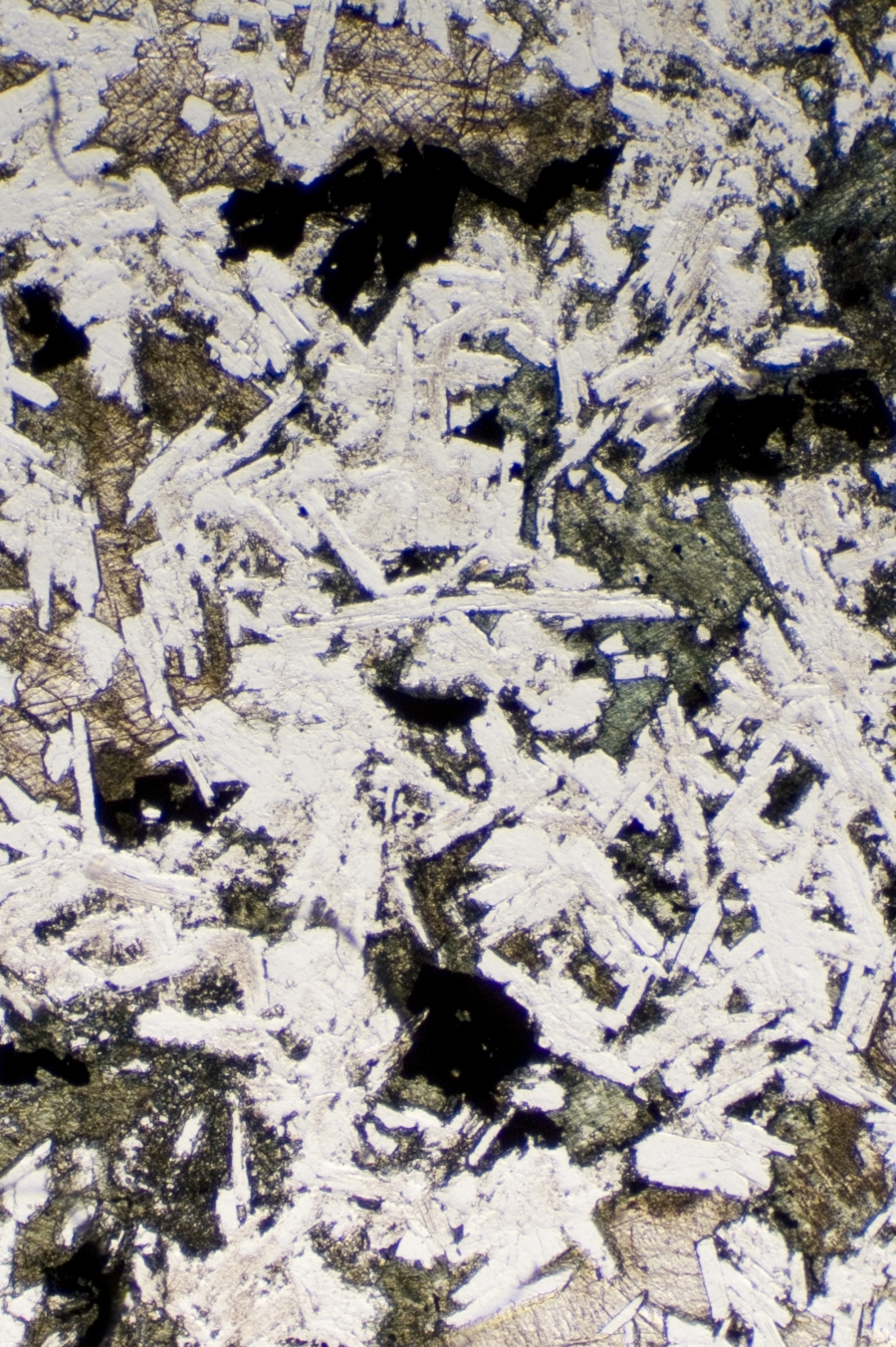 62954_2584-1