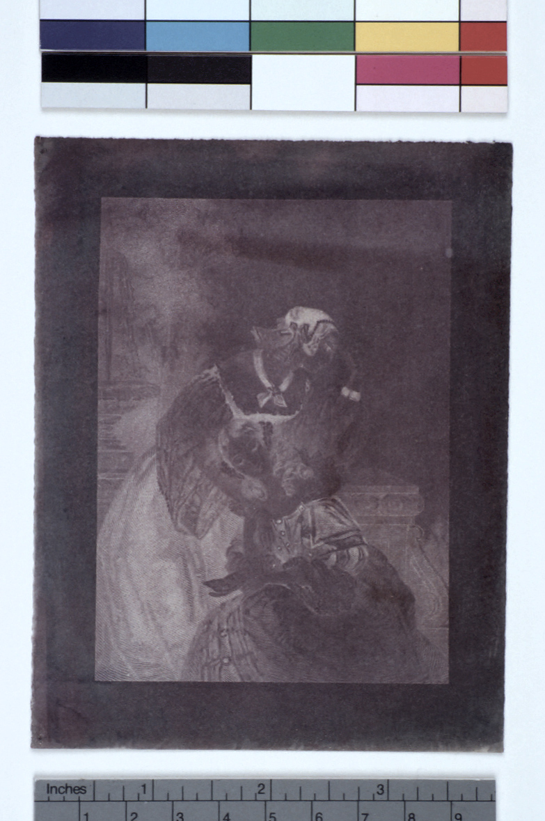 preview image for Photograph (Experimental Photogenic Drawing, Chrysotype), by Sir John Herschel, December 19, 1842