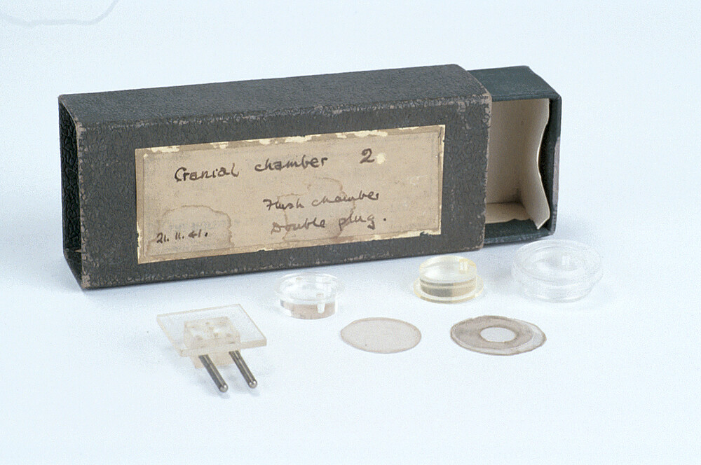 preview image for Cranial Chamber (Florey), Mid 20th Century