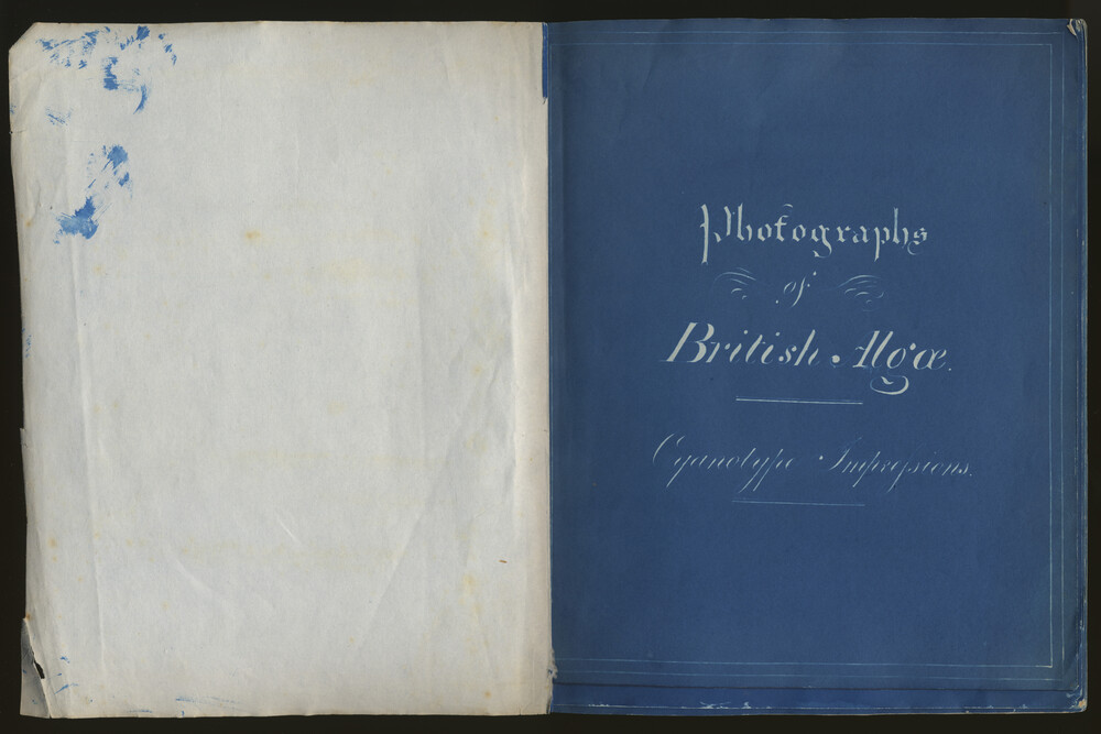 preview image for Cyanotype Herbarium, the First Fascicule of 'Photographs of British Algae', by Anna Atkins, 1843