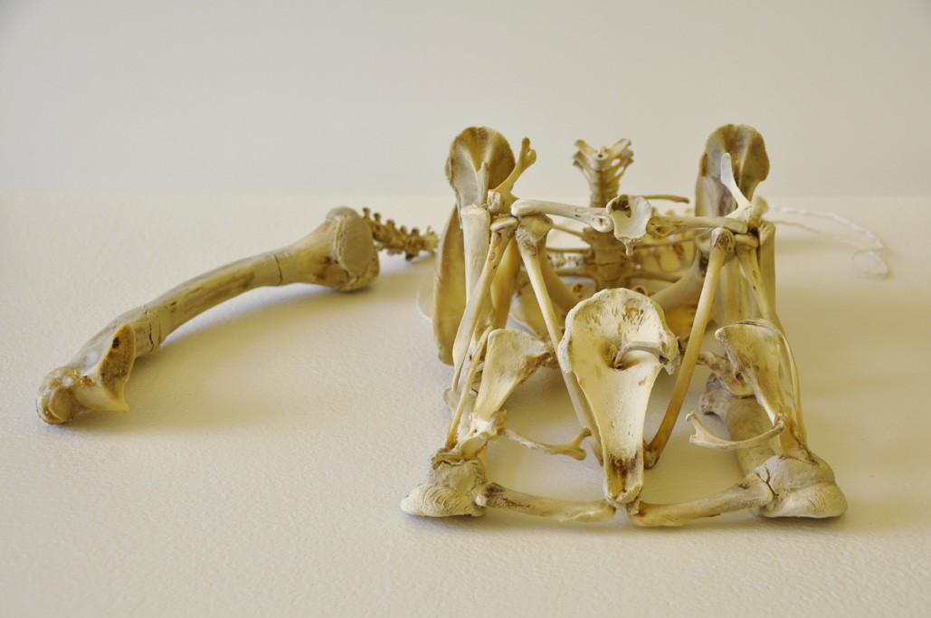 ‘Dog and Bone’ ‘Dog and Bone’, by Rachel Woodruff, c.1997